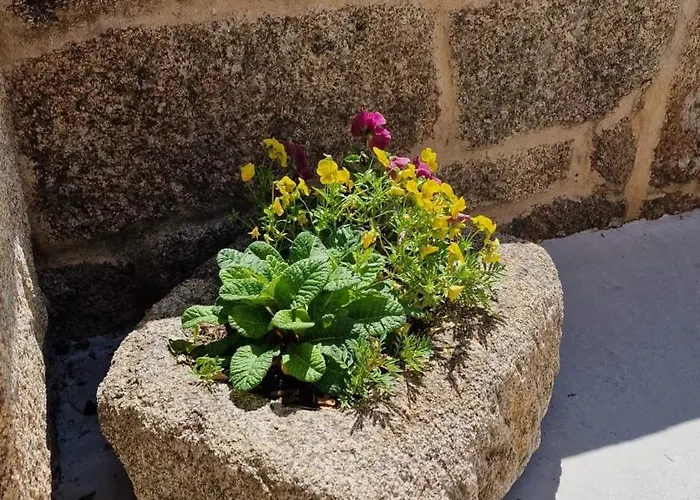 Casa Da Penela Tatil Evi